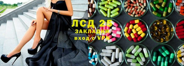 ГАЛЛЮЦИНОГЕННЫЕ ГРИБЫ Алексеевка