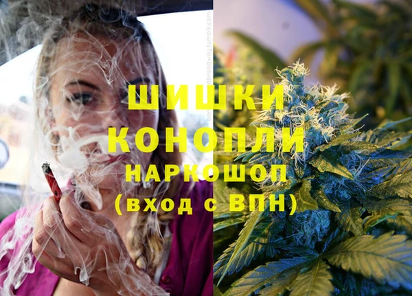 ГАЛЛЮЦИНОГЕННЫЕ ГРИБЫ Алексин
