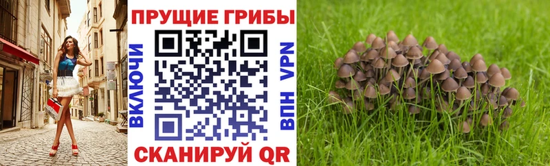 ОМГ ОМГ ONION  хочу   Брянск  Псилоцибиновые грибы MAGIC MUSHROOMS 