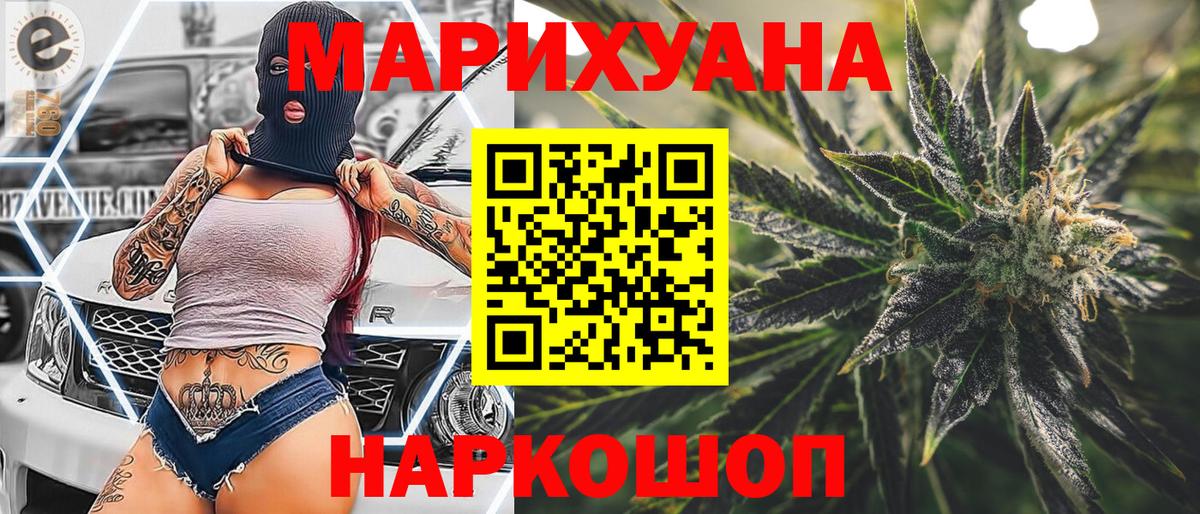 Каннабис сатива Брянск